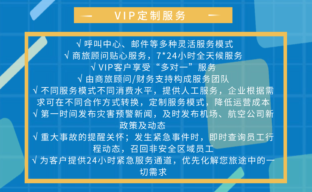 VIP定制服务